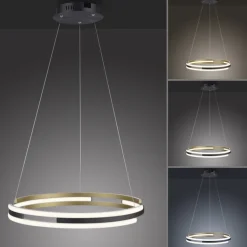 Paul Neuhaus LED Pendelleuchte Q-BELUGA Messing/ Schwarz matt