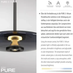 Paul Neuhaus LED Pendelleuchte PURE E-VITRUM 45 cm grau