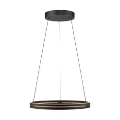 Paul Neuhaus LED Pendelleuchte PURE E-LOOP 70 cm schwarz