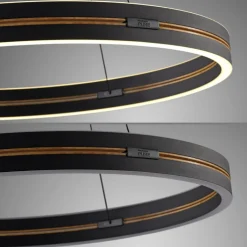 Paul Neuhaus LED Pendelleuchte PURE E-LOOP 70 cm schwarz