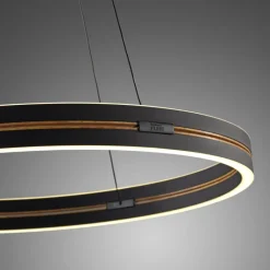 Paul Neuhaus LED Pendelleuchte PURE E-LOOP 70 cm schwarz