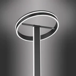 Paul Neuhaus LED Stehlampe Q-VITO anthrazit