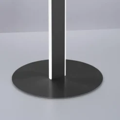 Paul Neuhaus LED Stehlampe Q-VITO anthrazit