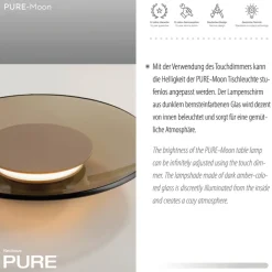 Paul Neuhaus LED Tischlampe PURE MOON 32 cm messingfarbig