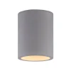 Paul Neuhaus Retrofit Deckenlampe ETON 11 cm beton