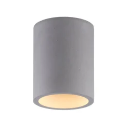 Paul Neuhaus Retrofit Deckenlampe ETON 11 cm beton