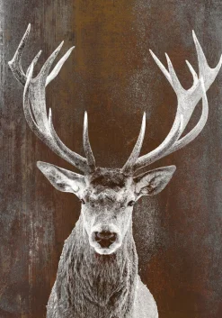 PRO ART Alu-Art Bild BROWN DEER II 70 x 98 cm mehrfarbig