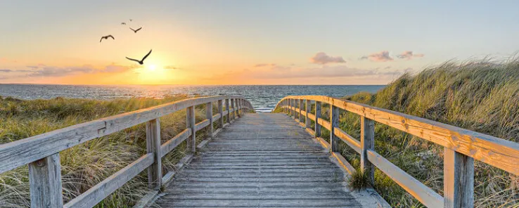 PRO ART Glas Art Bild BIRDS ABOVE LOST SEA 50 x 125 cm Floatglas