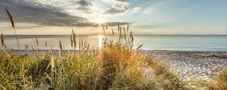 PRO ART Glas-Art Bild WILDER STRAND 125 x 50 cm