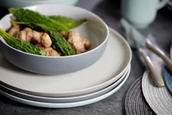 Ritzenhoff & Breker Pastaschale JASPER 4er Set grau/ weiß