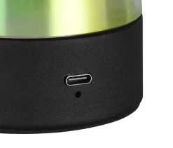 Reality RL RL Akku LED Tischlampe DOOLEY 18 cm klar irisierend