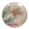 ROSE & TULIPANI Dessertteller SEA LIFE Fisch 2er Set