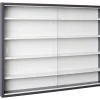 Sammlervitrine HENDRIK 80x60x9,5 cm Grau/Weiß