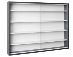 Sammlervitrine HENDRIK 80x60x9,5 cm Grau/Weiß
