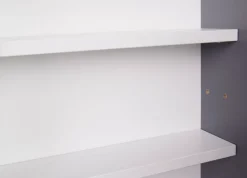 Sammlervitrine HENDRIK 80x60x9,5 cm Grau/Weiß