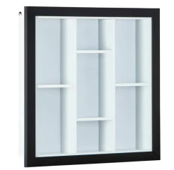 Sammlervitrine LENNY 66,5x66,5x13,7 cm Schwarz/Weiß