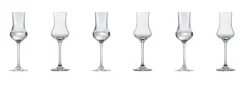 SCHOTT ZWIESEL Digestifglas CLASSICO 6er Set - je 95 ml