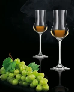SCHOTT ZWIESEL Digestifglas CLASSICO 6er Set - je 95 ml