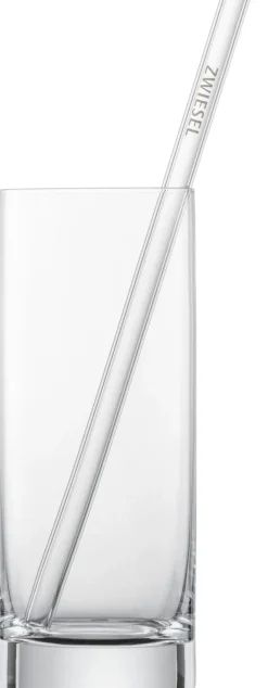 SCHOTT ZWIESEL Glastrinkhalm-Set 5-teilig 21 cm