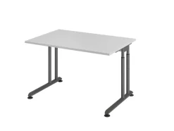 Schreibtisch 120 x 80 cm Grau/ Graphit