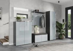 Schuhschrank LEVIN 87 x 120 cm Glasfront Silbergrau/Graphit