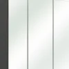 Spiegelschrank LIVORNO I anthrazitgrau