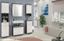 Spiegelschrank SCOUT 60 x 79 cm grau