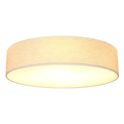 SPOT LIGHT Retrofit Deckenlampe BELOS Eiche /natur