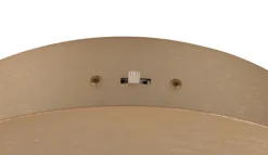 TRIO LED Deckenlampe TRS NALA goldfarbig