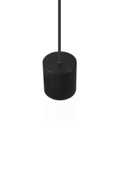 TRIO Retrofit Pendelleuchte ROBIN X 1-flg schwarz