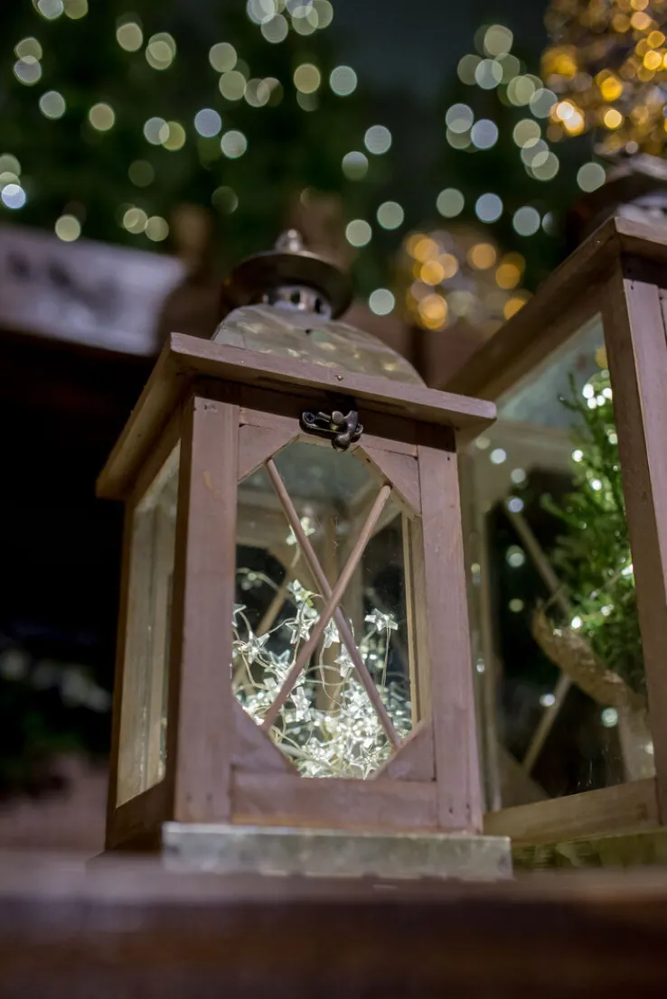 Weihnachten Lichterbündel 48 Micro LEDs WW