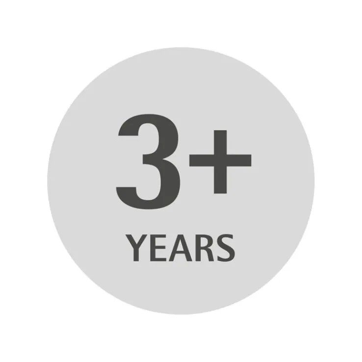 WMF Kinderbesteckset DSCHUNGELBUCH 4-teilig Edelstahl