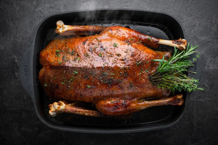 WOLL Gussbräter ECO LOGIC 7,8 Liter mit Silikongriffen