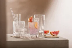 SCHOTT ZWIESEL Zwiesel Schnapsglas FAVE Kristallglas